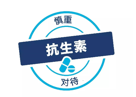 杂交构树：以树代粮 打造优质构香猪 助力健康财富双丰收！