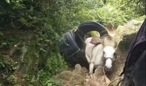 中安信业资助蓄水池在四川大凉山顺利竣工！
