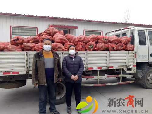 平度后麻兰村：村民自发捐赠“爱心萝卜”