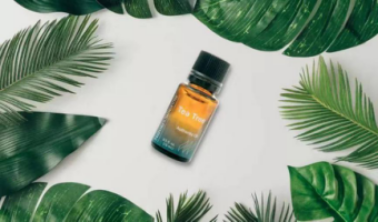 夏秋换季易多关照身体自然阳光茶树精油来帮你