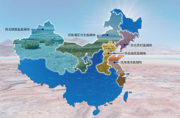 科学合理开发利用盐碱地，胜伟集团开启中国草饲畜牧业发展新契机