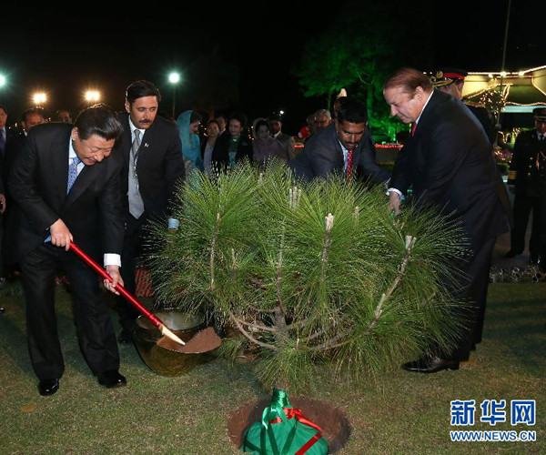 习主席种下的友谊树