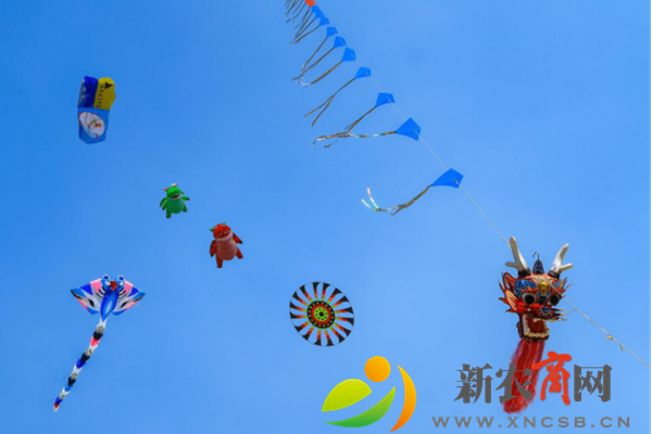 青岛市风筝协会第七届换届大会圆满成功1609.png