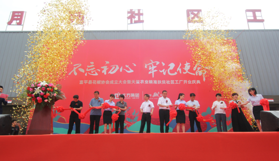 发展花椒特色产业，大方集团助力富平乡村振兴