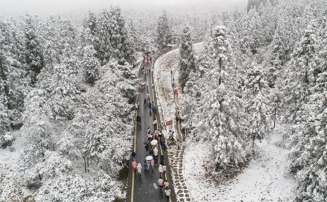 99对新人仙女山举办雪地汉式集体婚礼 ＂武隆七仙女＂上演汉服国风大赏