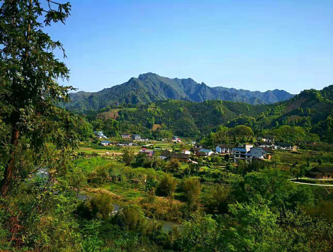 专访柳州市安森农业开发有限公司创始人刘仁安