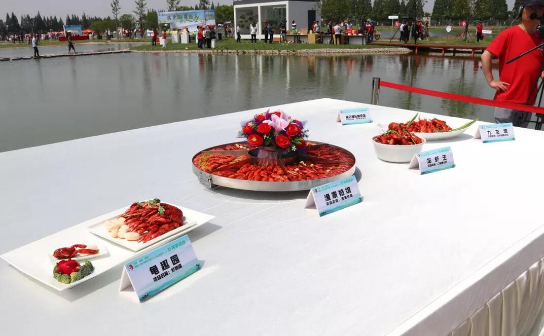 【重磅】全球直播回放│南县首届小龙虾捕捞节暨万人网红直播节圆满落幕！