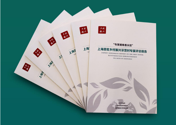 专家视野下的示范村建设 ——全国首份乡村振兴示范村第三方专家评估报告出
