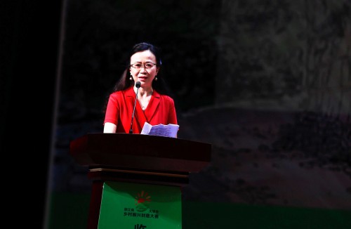 浙江大学生暑期进村建设“美丽庭院”