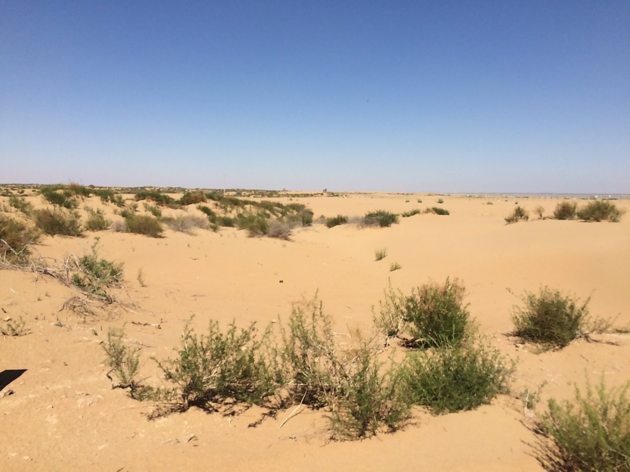 厚植高质量扶贫之路 昌盛日电让脱贫见实效