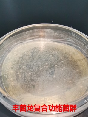 这款果农朋友都在用的生物有机肥——丰菌龙，到底有什么特别之处？