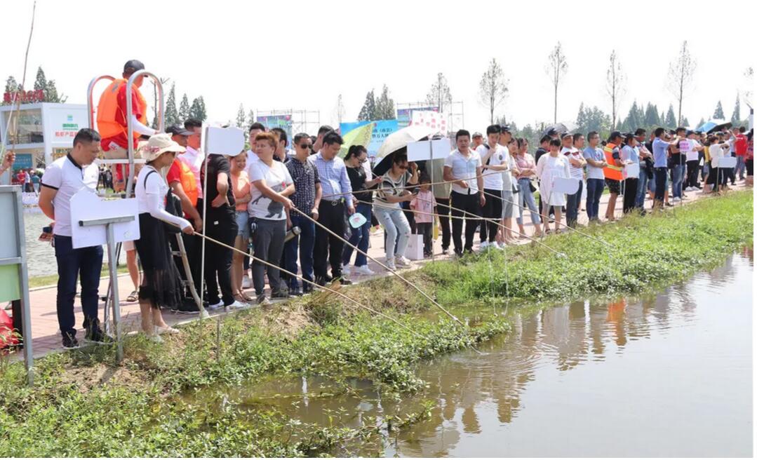 【重磅】全球直播回放│南县首届小龙虾捕捞节暨万人网红直播节圆满落幕！