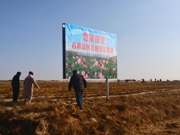 甘肃省武威市古浪县探索一条“玫瑰”之路