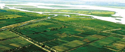 第七届四川农博会即将开幕 宁夏特色农产品邀您品尝