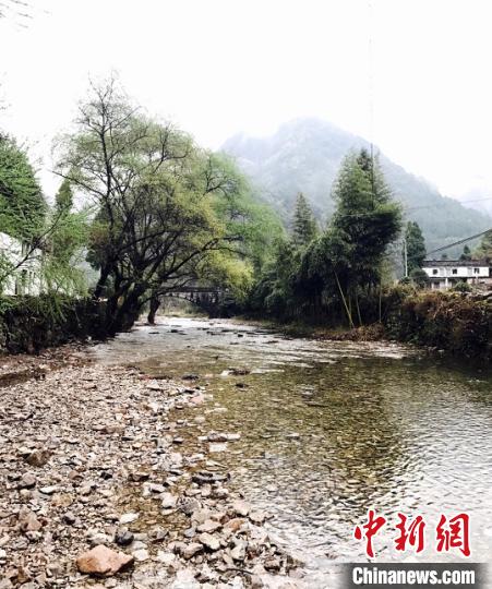 浙江农村指导员筑起“桃花源” 村民点赞“未来可期”
