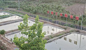 携手大蛭汇，玩转水蛭养殖