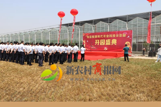 青岛伟信集团农业科技示范园开园了！