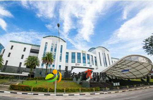 新加坡管理学院“圆梦高校”新闻发布会在青岛召开