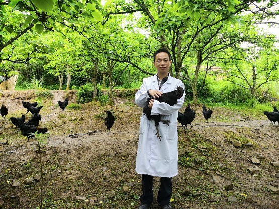 为农业农村发展铸造全新引擎，京东生鲜11.11卖出11万吨好物