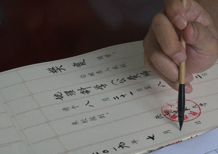 十余位老教授毛笔手写4500份录取通知书 网友：感动