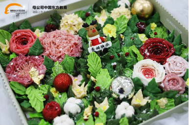 圣诞梦幻级展台！快来接住福建新东方这波圣诞惊喜！