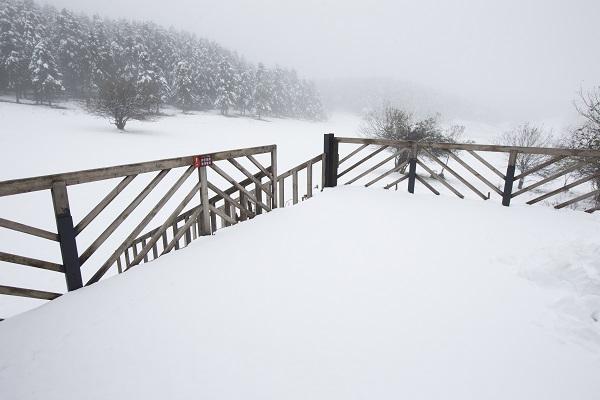 重磅！仙女山首降大雪，国际冰雪季本周六开幕