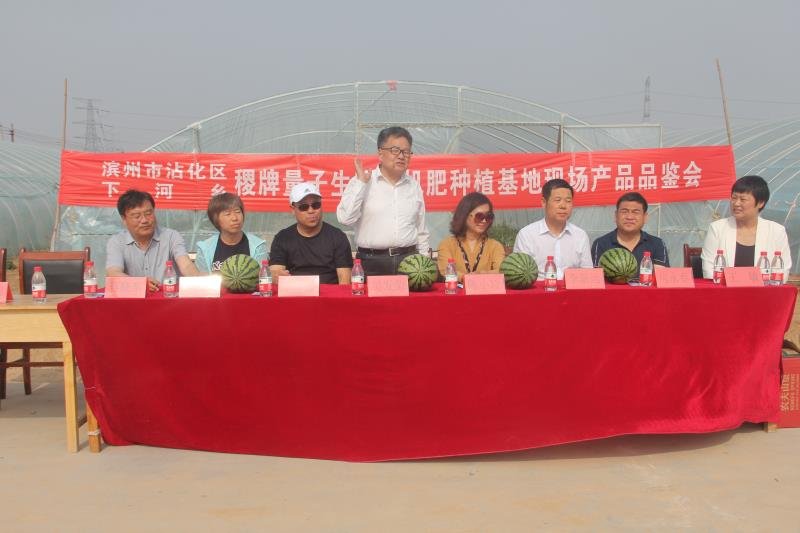 稷牌量子生物有机肥有何功效遭国民疯抢？