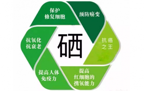 富含营养，纯然鸡蛋一个顶多个，堪称鸡蛋中的圣蛋