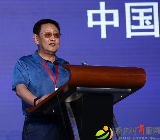 影视IP全球开发者大会--李飞摄影 (2).jpg