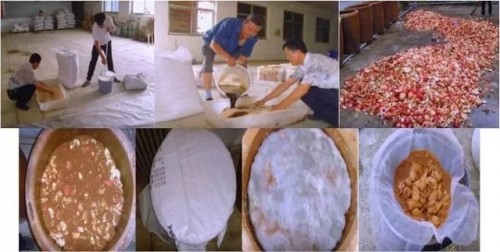 打造优良生态环境，生物动力助力质量兴农