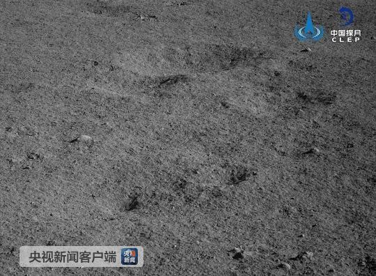 那只“兔子”又睡醒了！