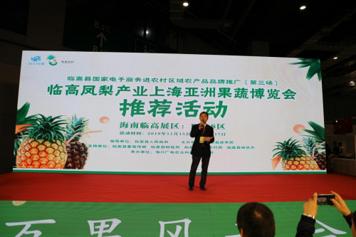 临高电子商务进农村凤梨产业推荐会主会圆满举行