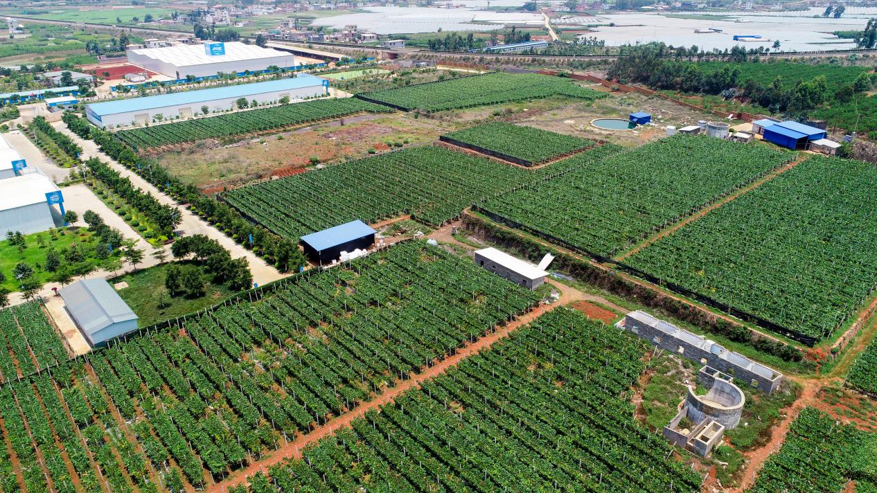 养羊啦十年传奇： 打造羊乳全产业链领导品牌