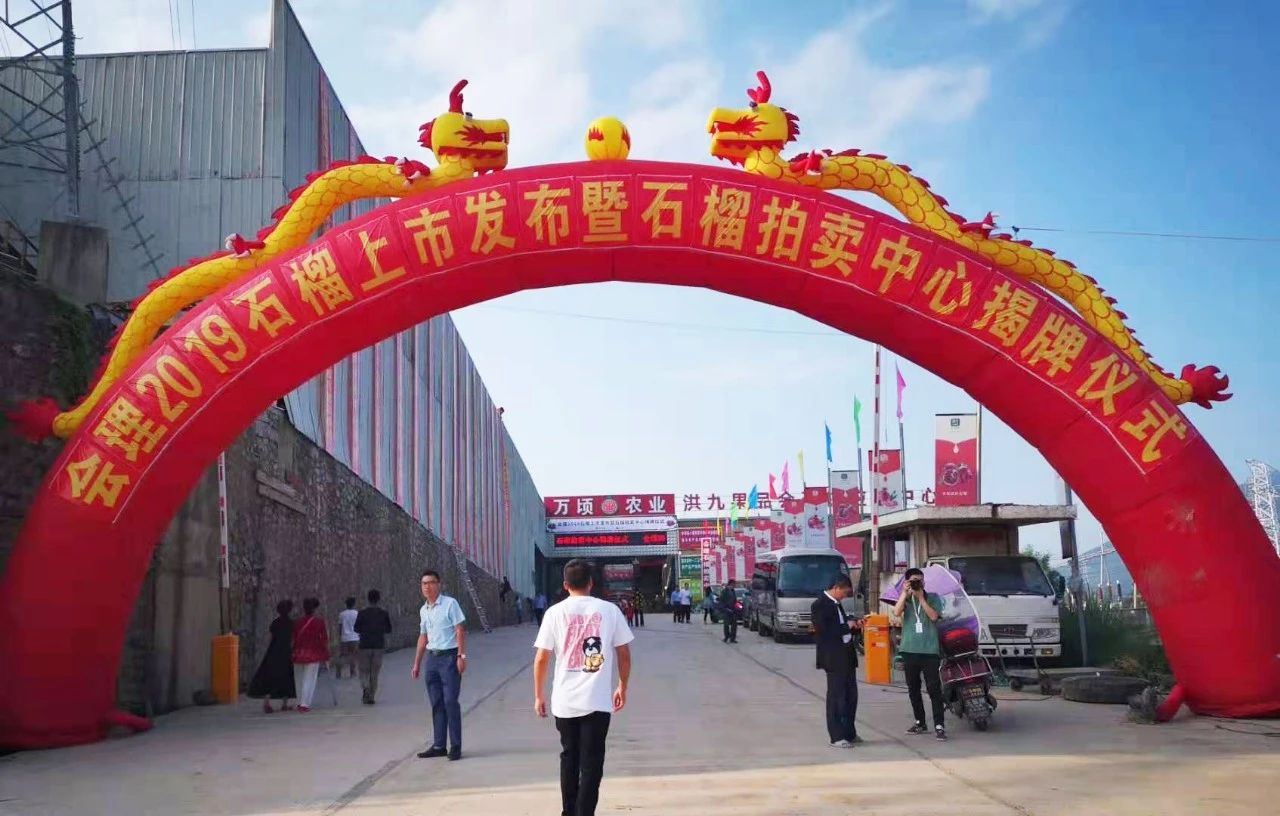 “会理石榴拍卖中心”揭牌仪式顺利举行