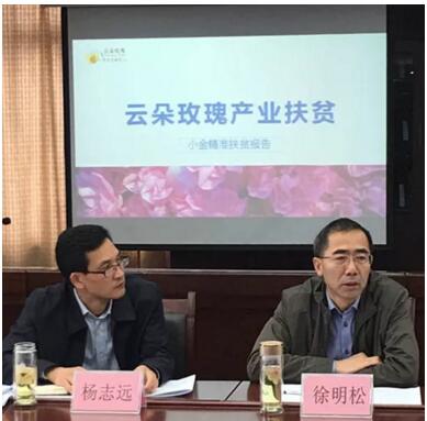 云朵玫瑰项目扶贫获官方支持与认可