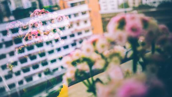 联合办公空间的新型创业生态