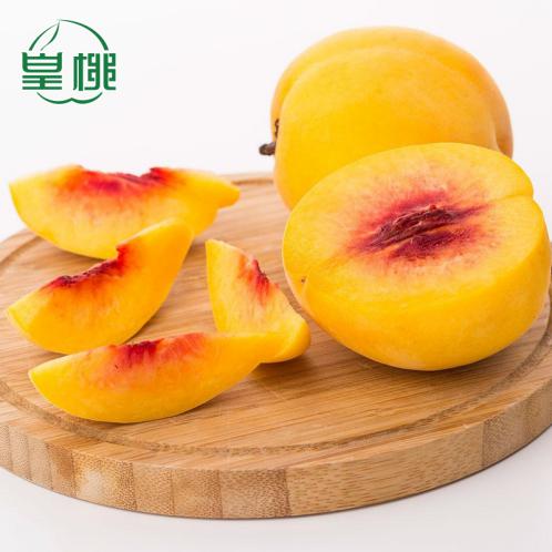 一年只卖20天的玉屏黄桃，晚收一个月只为更好吃！