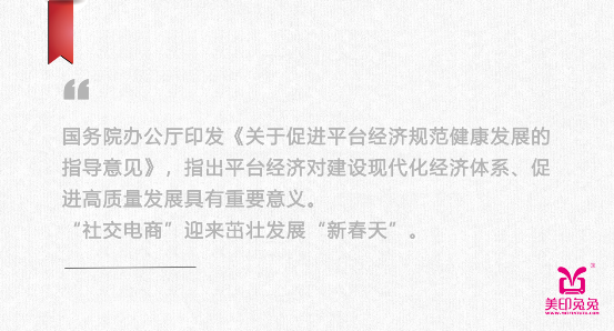 重磅 |社交电商迎来茁壮成长新春天
