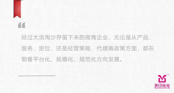 美印兔兔：探索后电商时代的“微商新模式”