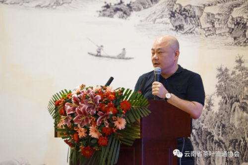 十二块田：在云南省茶叶流通协会双月活动，分享营销新模式