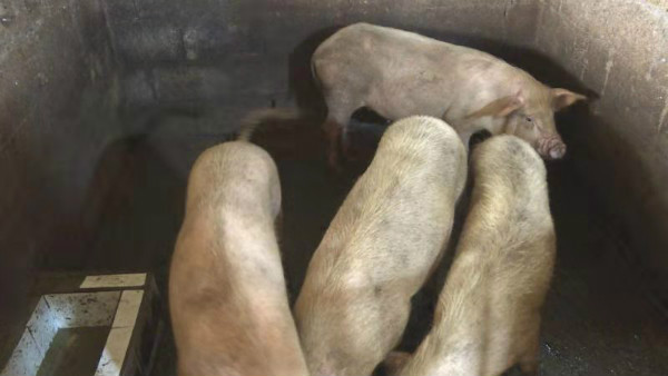 周洪：不能躺在政策的温床上睡大觉 脱贫要努力奋斗