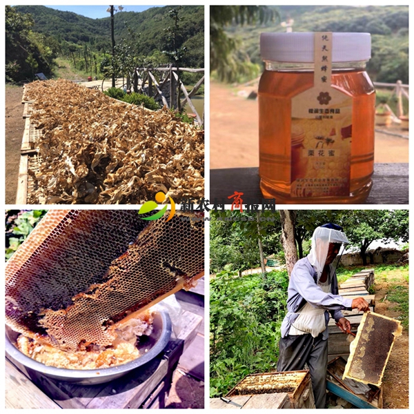 禄润生态农业发展有限公司荣获山东省“AAA级放心企业”称号