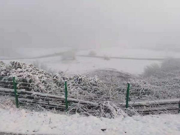 重磅！仙女山首降大雪，国际冰雪季本周六开幕