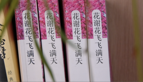 美女作家陈韵妃的文学创作之路