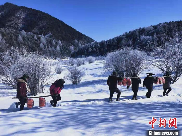 神农架国家公园：大规模人工补食助野生动物越冬