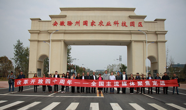 安徽定远：聚焦乡村振兴战略谱写绿色发展新篇章